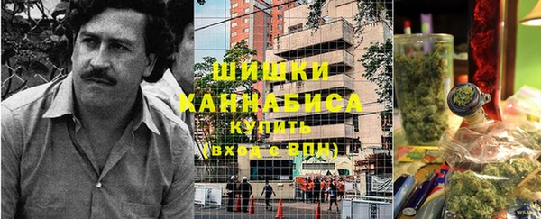 сатива Бронницы