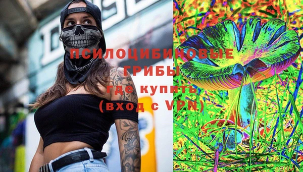 сатива Бронницы