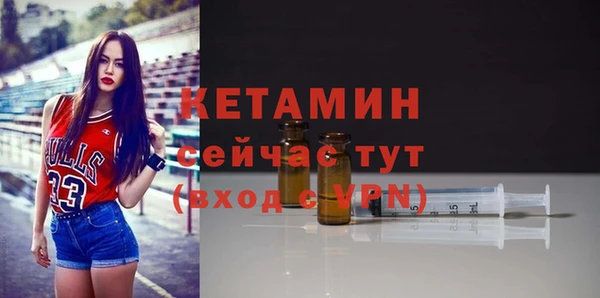 сатива Бронницы