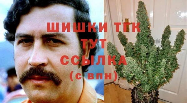 соль курить ск Бородино