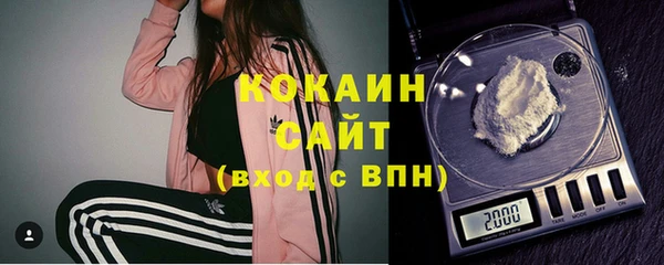 сатива Бронницы