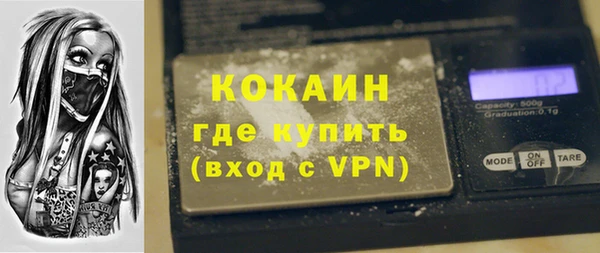 сатива Бронницы
