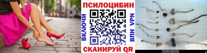 Псилоцибиновые грибы мухоморы Ильский